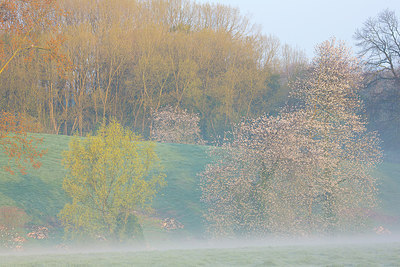 BUITEN BEELD Foto: 310454