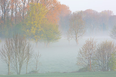 BUITEN BEELD Foto: 310457