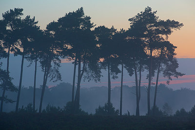 BUITEN BEELD Foto: 310477