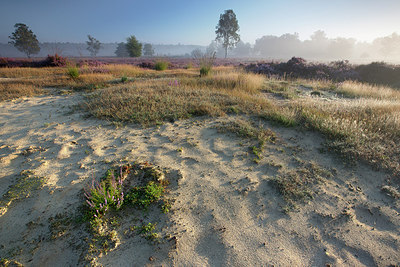 BUITEN BEELD Foto: 310485