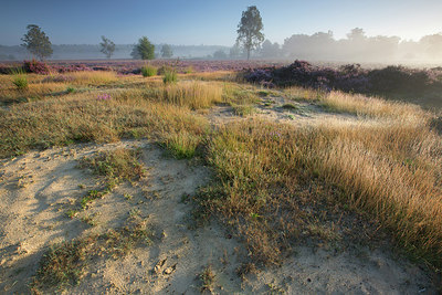 BUITEN BEELD Foto: 310486