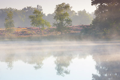 BUITEN BEELD Foto: 310487