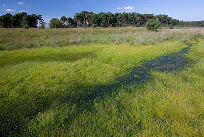 BUITEN BEELD Foto: 310492