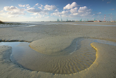 BUITEN BEELD Foto: 310528
