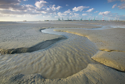 BUITEN BEELD Foto: 310529