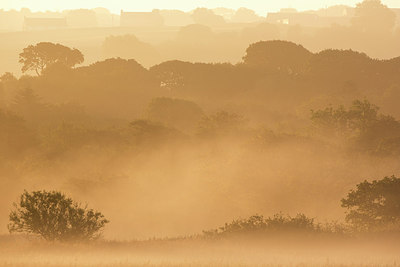 BUITEN BEELD Foto: 310545