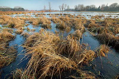 BUITEN BEELD Foto: 310560