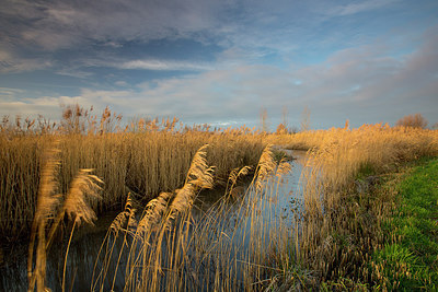 BUITEN BEELD Foto: 310561