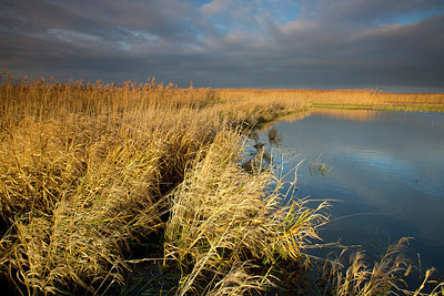 BUITEN BEELD Foto: 310562