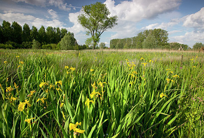 BUITEN BEELD Foto: 310569