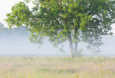 BUITEN BEELD Foto: 310576