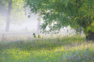 BUITEN BEELD Foto: 310577