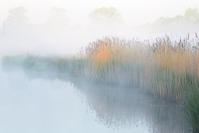 BUITEN BEELD Foto: 310609