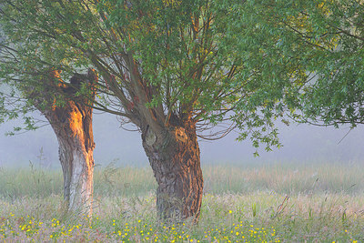 BUITEN BEELD Foto: 310623