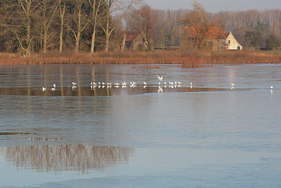 BUITEN BEELD Foto: 310633