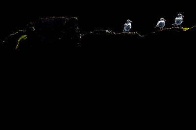 BUITEN BEELD Foto: 310638