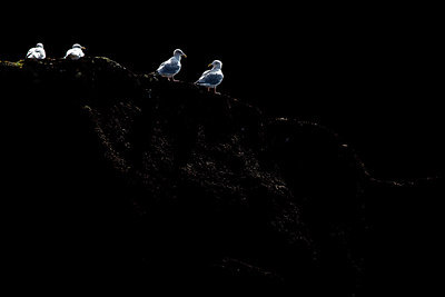 BUITEN BEELD Foto: 310639