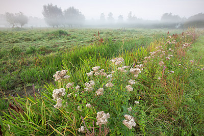 BUITEN BEELD Foto: 310663