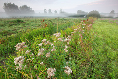 BUITEN BEELD Foto: 310671