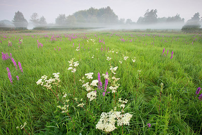 BUITEN BEELD Foto: 310673