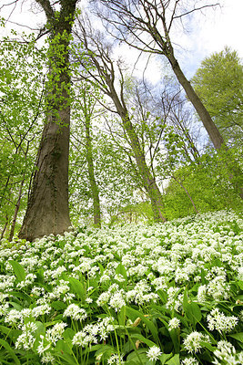 BUITEN BEELD Foto: 310677