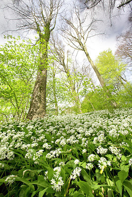 BUITEN BEELD Foto: 310678