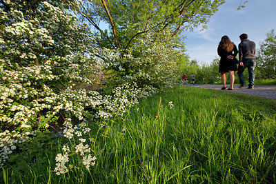 BUITEN BEELD Foto: 310703
