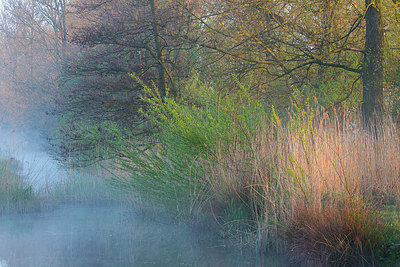 BUITEN BEELD Foto: 310725