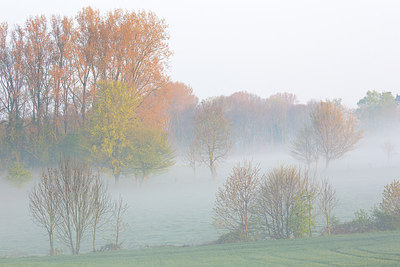 BUITEN BEELD Foto: 310727