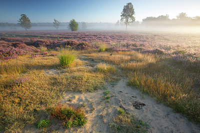 BUITEN BEELD Foto: 310739