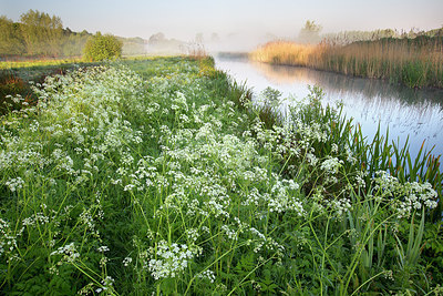 BUITEN BEELD Foto: 310759