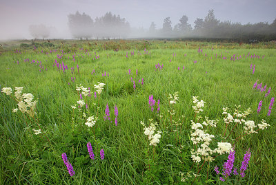 BUITEN BEELD Foto: 310761