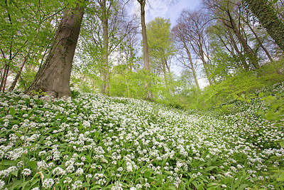 BUITEN BEELD Foto: 310763