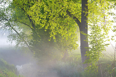 BUITEN BEELD Foto: 310772