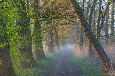 BUITEN BEELD Foto: 310776