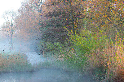 BUITEN BEELD Foto: 310778