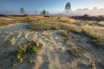 BUITEN BEELD Foto: 310789