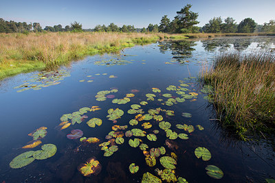 BUITEN BEELD Foto: 310791