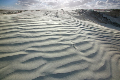 BUITEN BEELD Foto: 310799