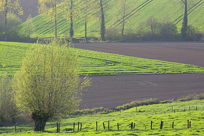 BUITEN BEELD Foto: 310800