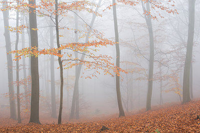 BUITEN BEELD Foto: 310807