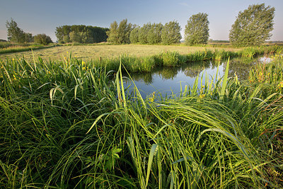 BUITEN BEELD Foto: 310809