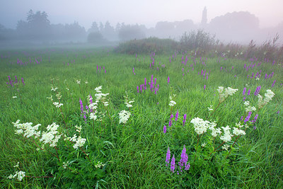 BUITEN BEELD Foto: 310819