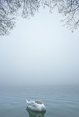 BUITEN BEELD Foto: 310826