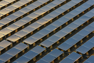 BUITEN BEELD Foto: 310829