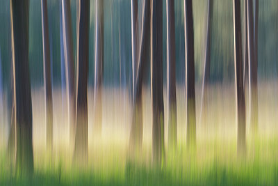 BUITEN BEELD Foto: 310832