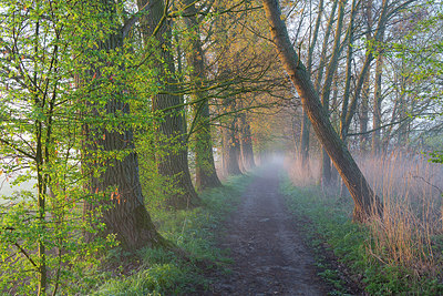 BUITEN BEELD Foto: 310851