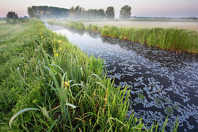 BUITEN BEELD Foto: 310870