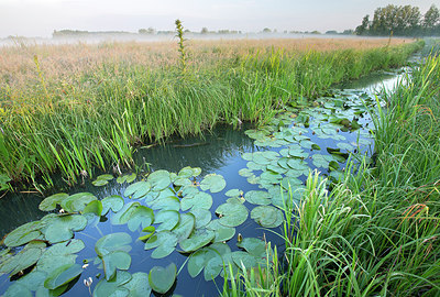 BUITEN BEELD Foto: 310871