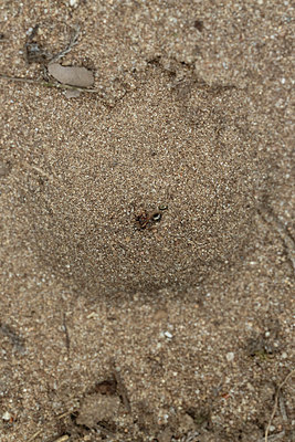 BUITEN BEELD Foto: 311025